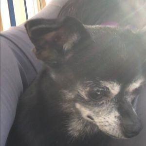 Meet your Posher, Patricia